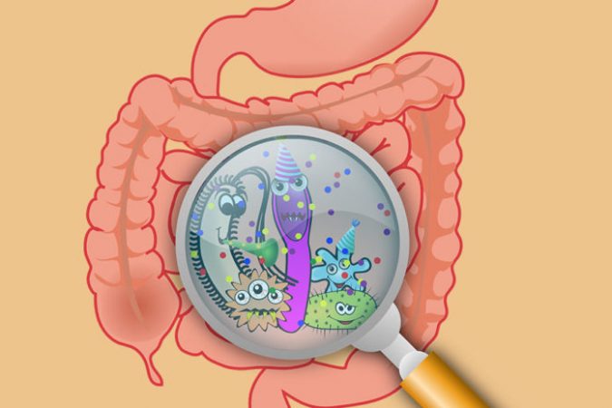 Sclerosi multipla e microbiota intestinale, un legame sempre più stretto